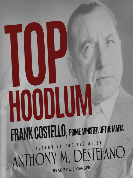 Title details for Top Hoodlum by Anthony M. DeStefano - Wait list